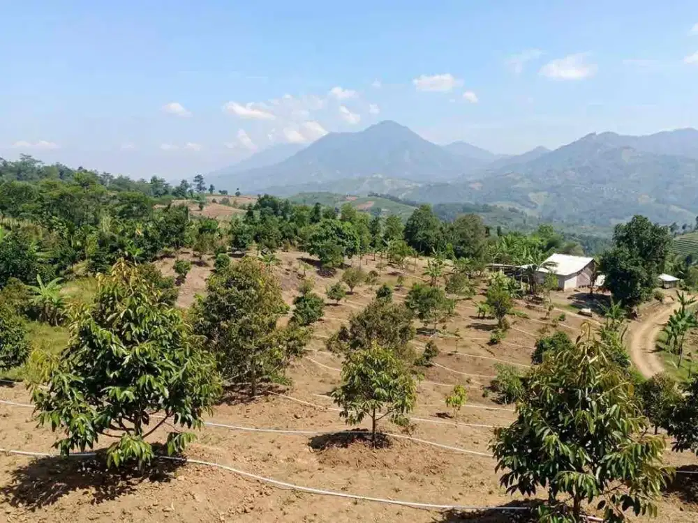 Dijual tanah murah bogor