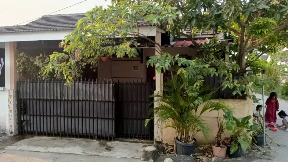 Disewa dikontrakan rumah