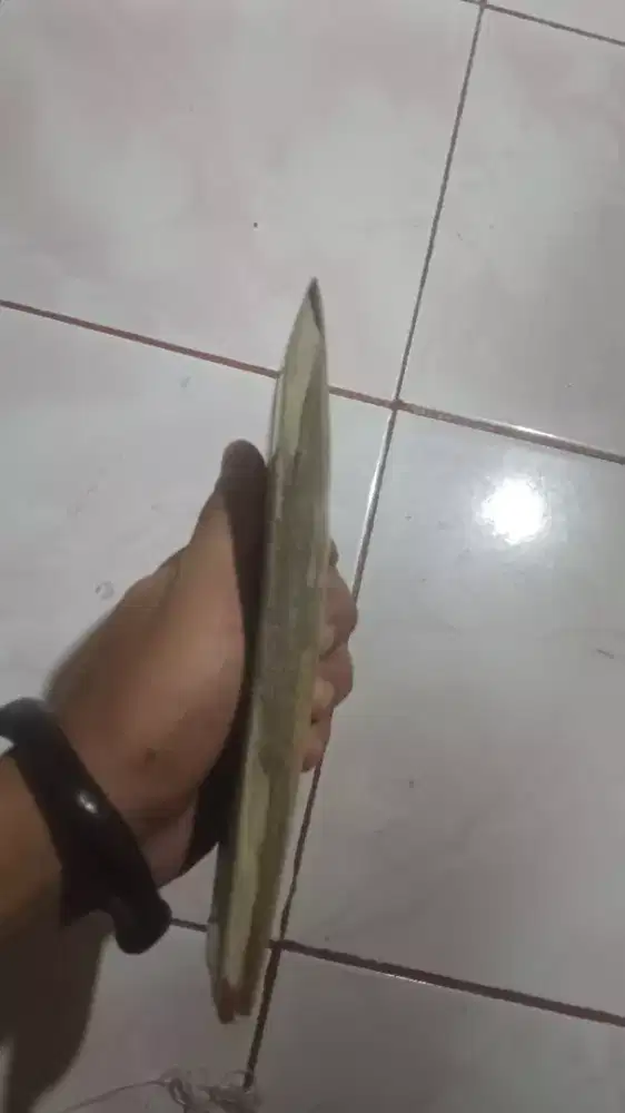 Untu gelap oanajng 17 cm