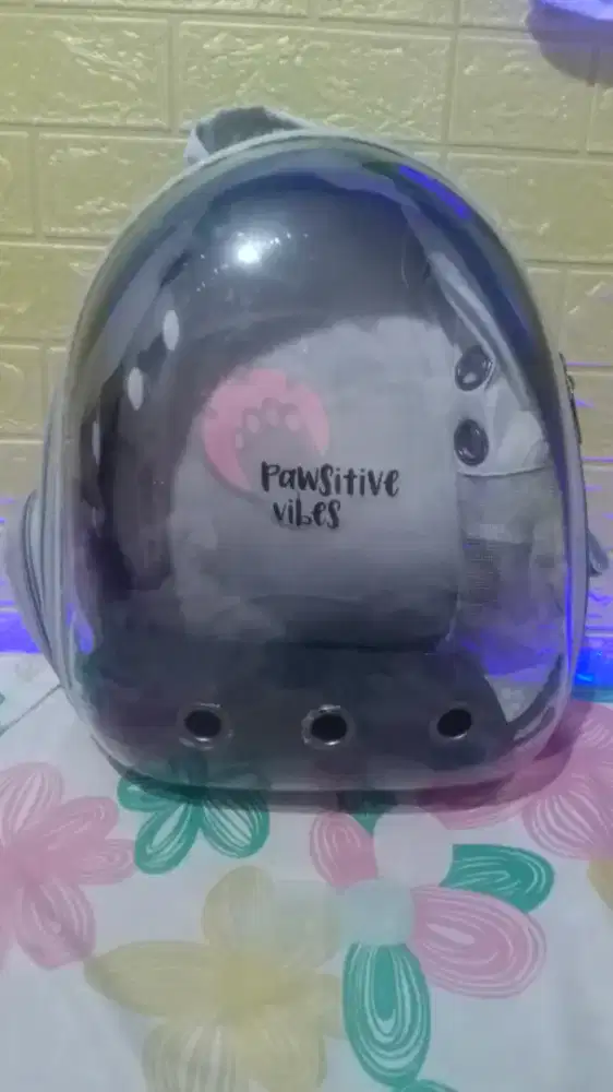 Tas hewan peliharaan