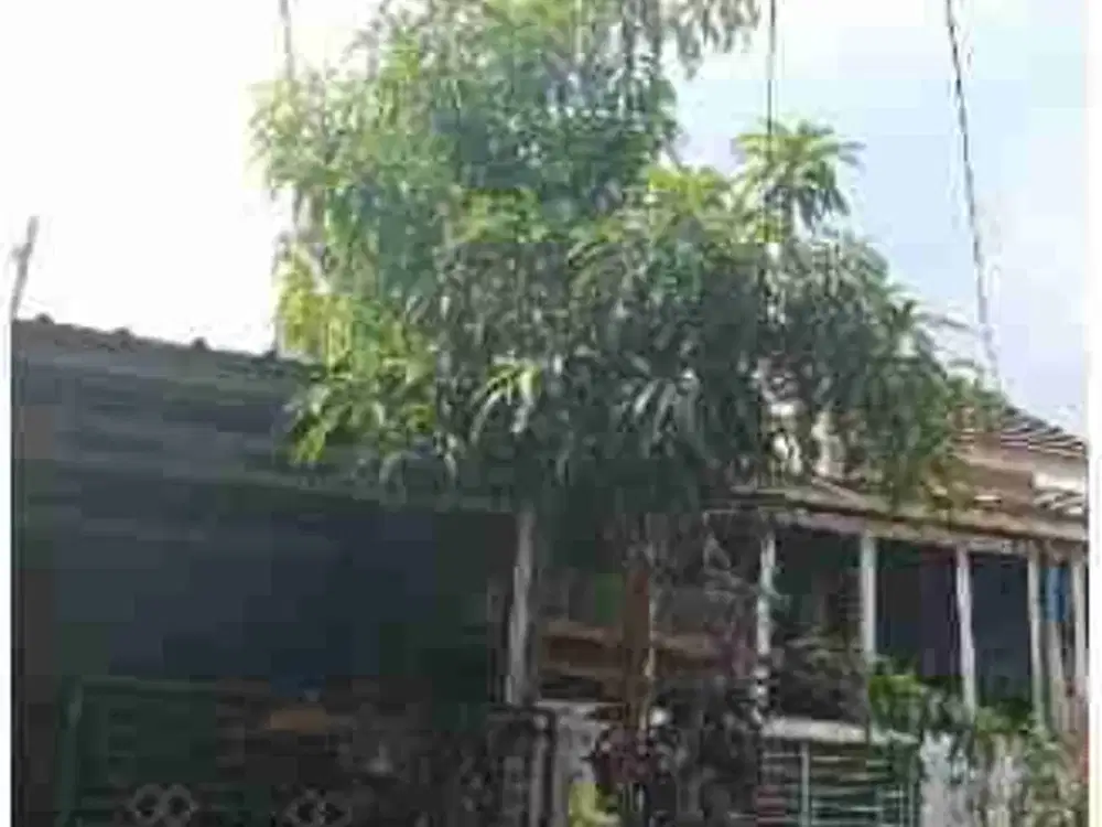 Rumah Murah cluster semi RE citra Indah