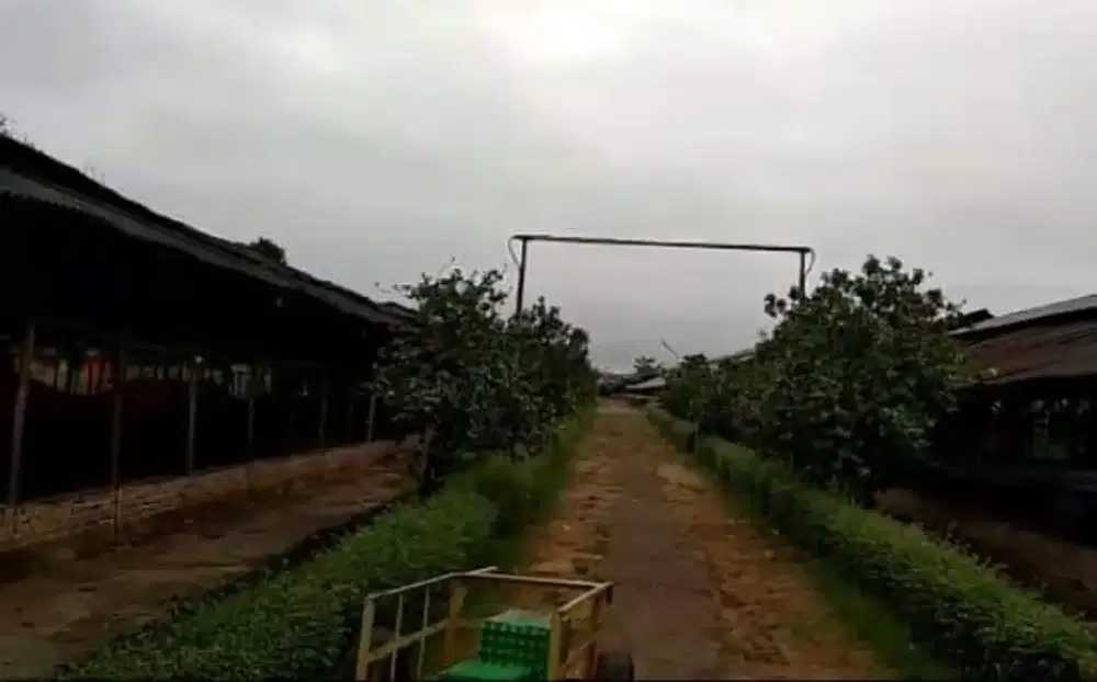 Jual Murah Tanah Darat + Sawah Cimuning Mustika Jaya Bekasi