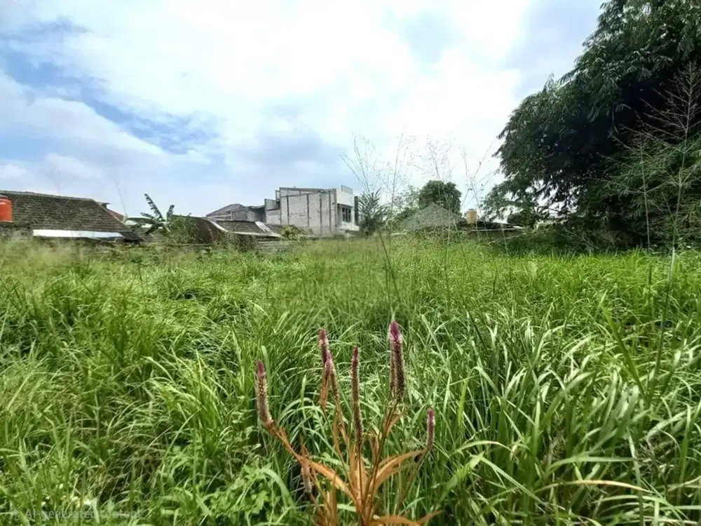 Tanah Dekat Mall Dan Tol Di Jl Darma Nanggewer Cibinong Kab Bogor