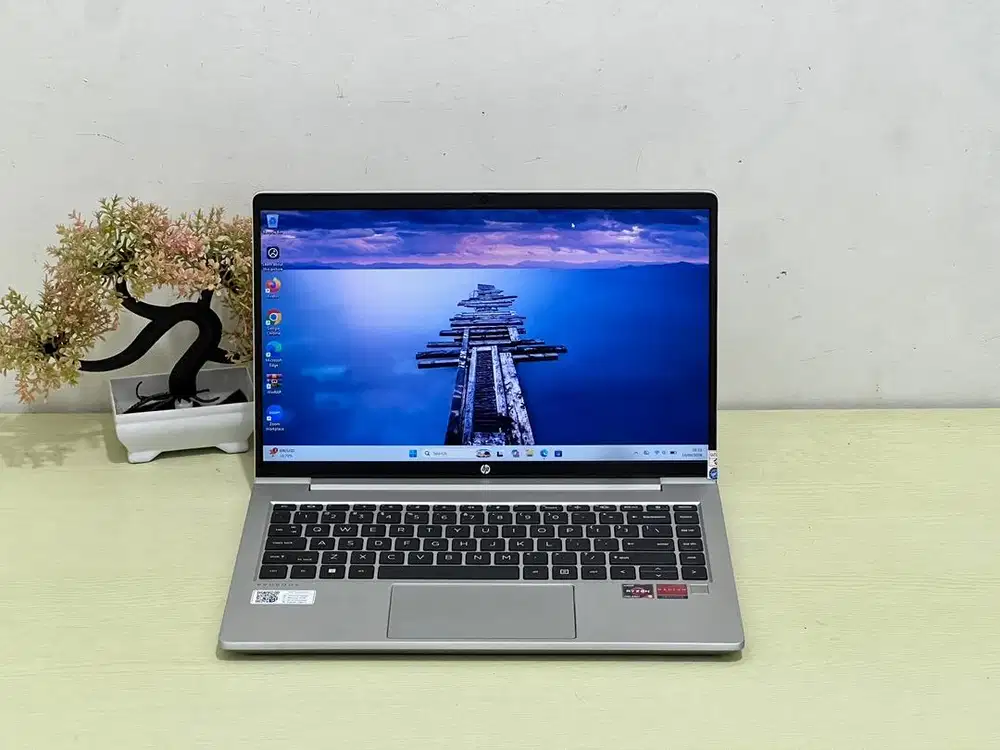 HP ProBook 445 G8 Ryzen 5-5600U RAM 8 SSD 256 GB No Minus Mulus