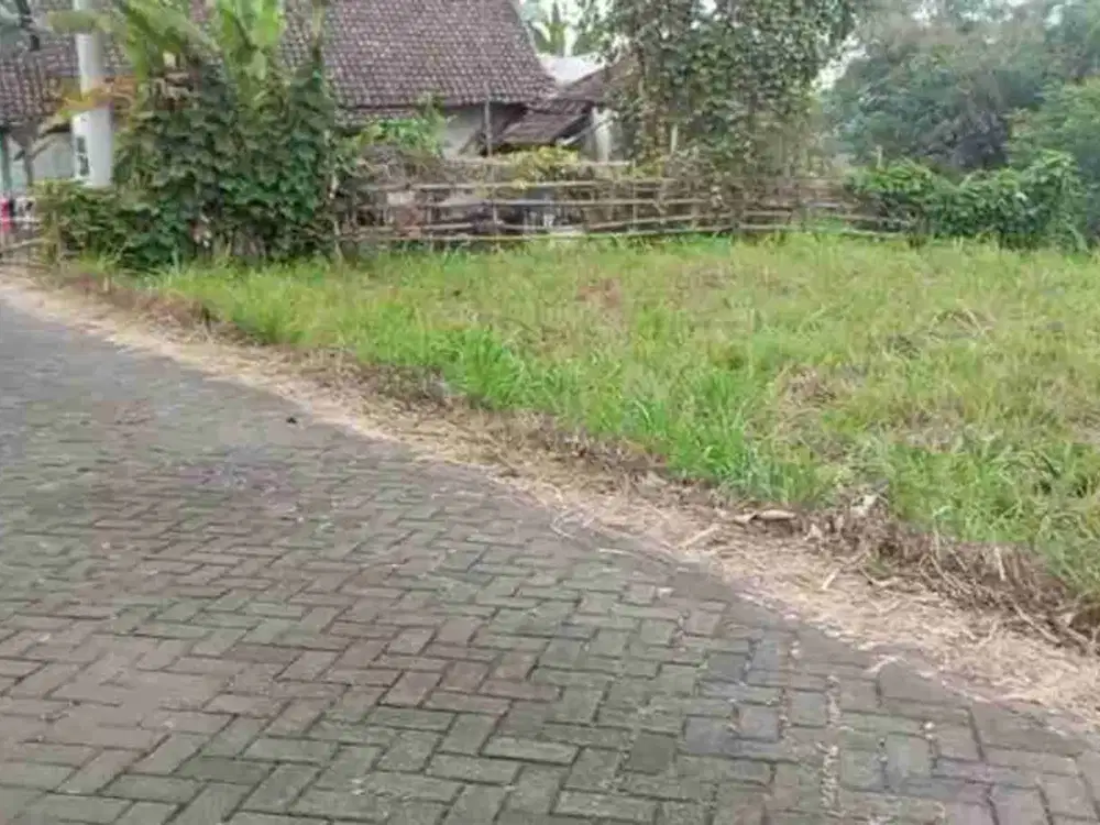 Tanah kebun murah subur