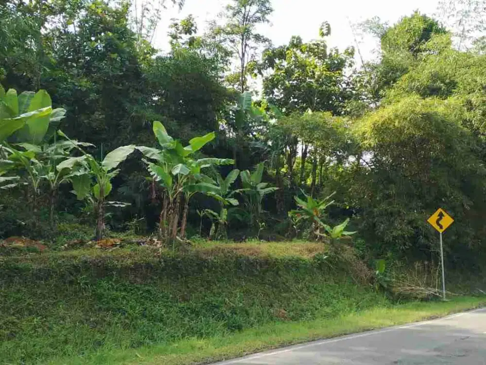 LELANG Tanah pinggir jln propinsi sumedang sukahayu