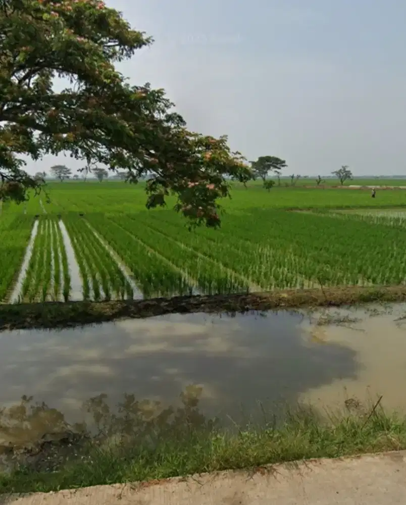 #lahan sawah pertanian dan pergudangan