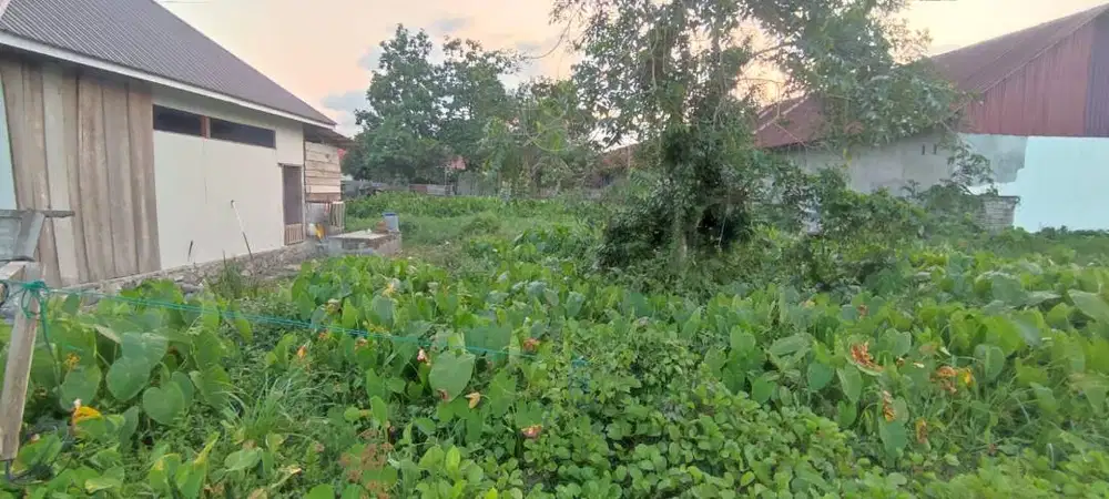 Dijual tanah kavling, lokasi strategis di tengah kota Morowali