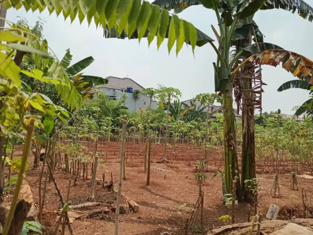 Dijual Cepat Tanah Luas 1.110 m2 SHM Pondok Karya Tangerang Selatan