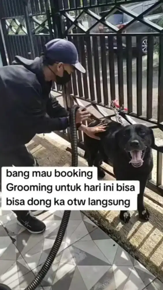 Grooming Hewan Panggilan Terpercaya – Solusi Mandi & Treatment