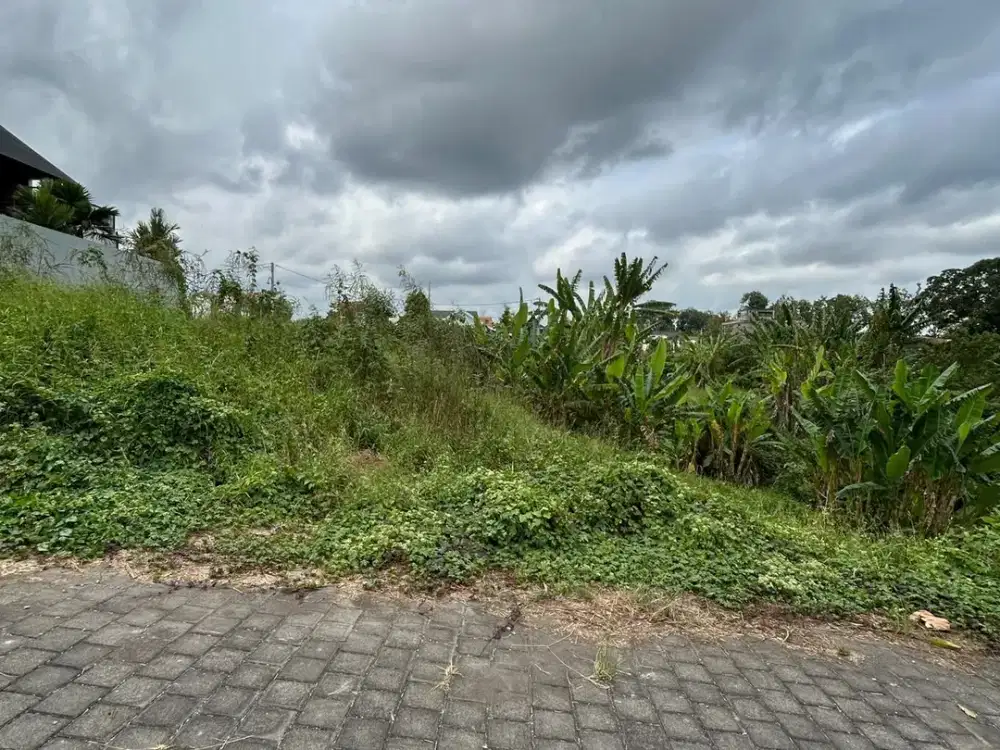 SALE Tanah 7,1 Are View Sungai & Sawah Bedha Tabanan