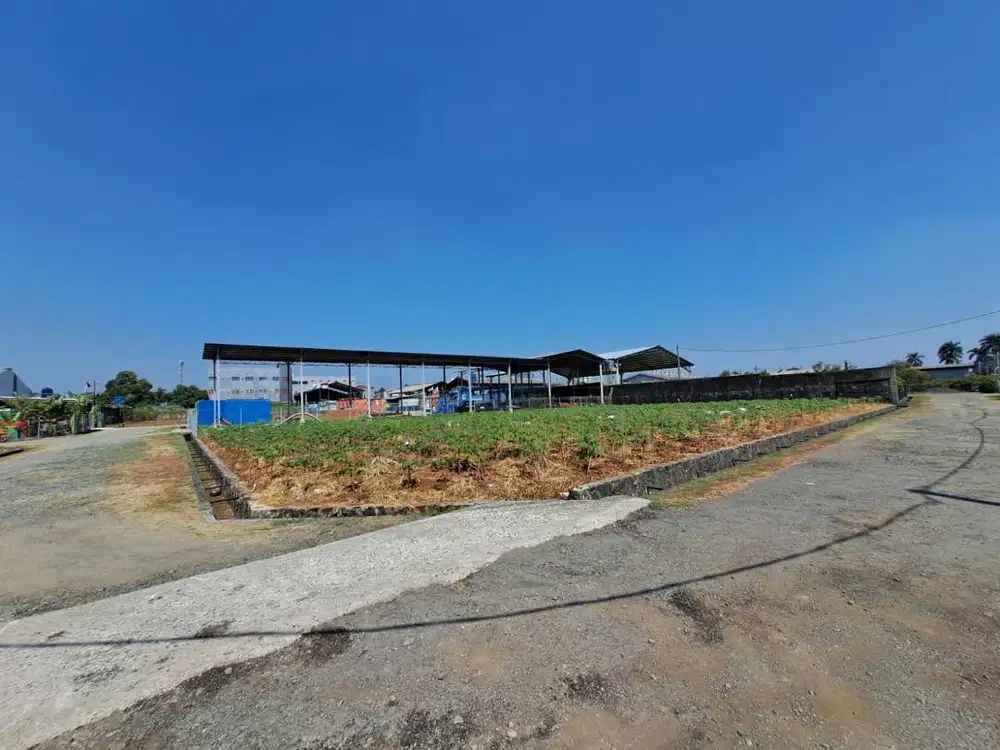 Disewakan 1000-2000 M2 Murah - Akses Truk / Container - Tol Sentul