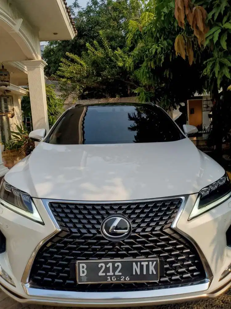 Lexus RX300 Luxury 2021 Bensin