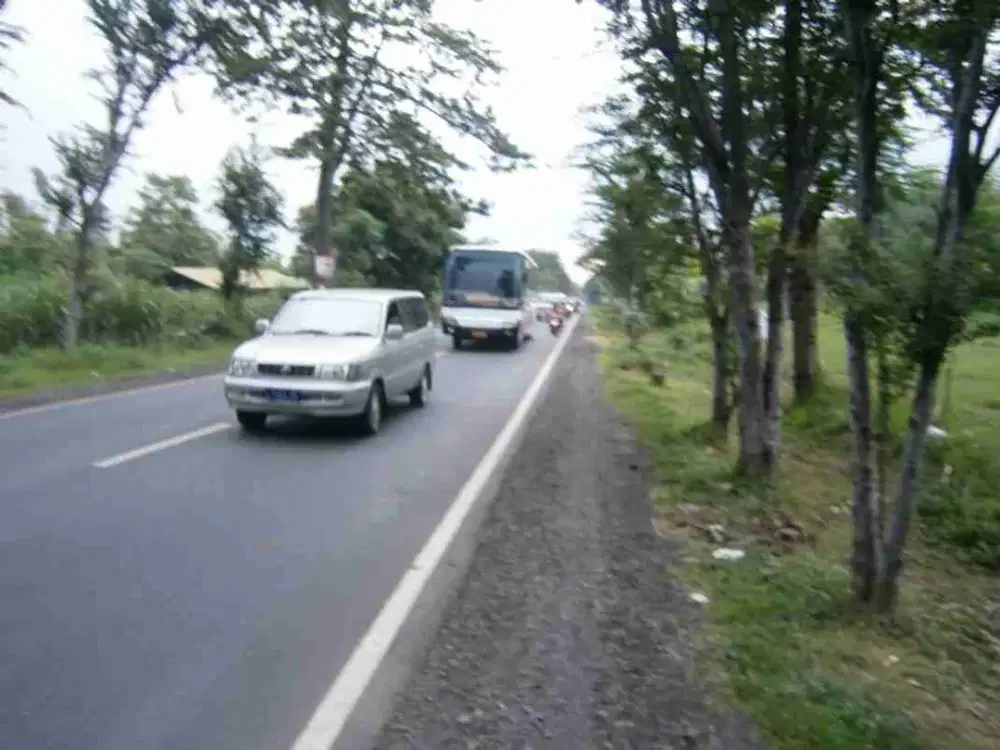 Dijual segera Tanah Dekat Tol Nol Jalan Provinsi Probolinggo-Lumajang Jawa Timur