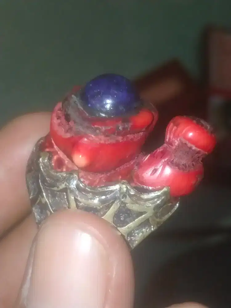 Di jual red coral/marjan