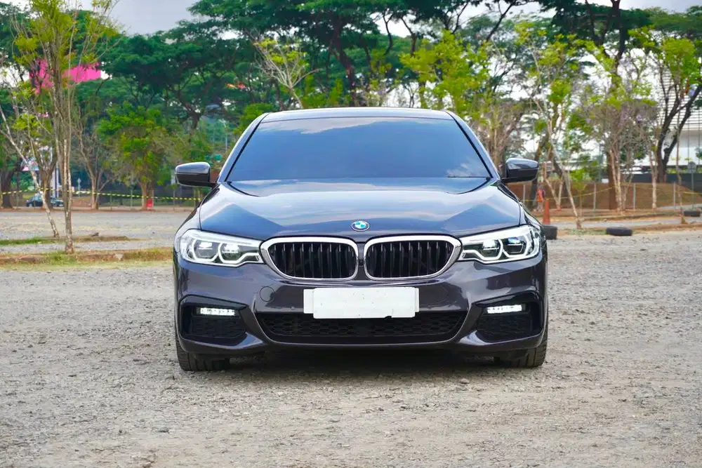 BMW 530i G30 MSport B48 2019 / 2020