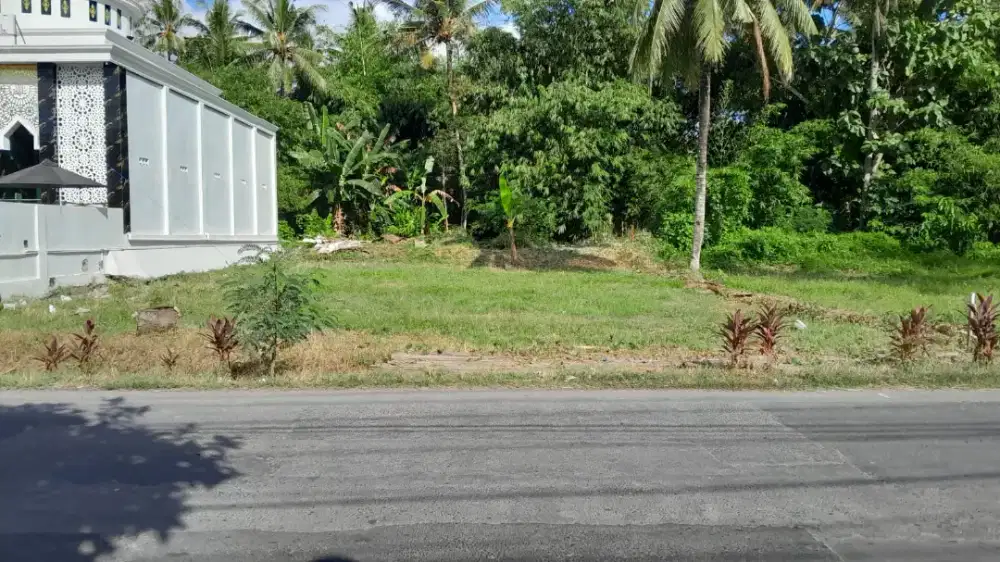 DIJUAL TANAH LOKASI STRATEGIS DEKAT PUSAT WISATA PULAU MERAH