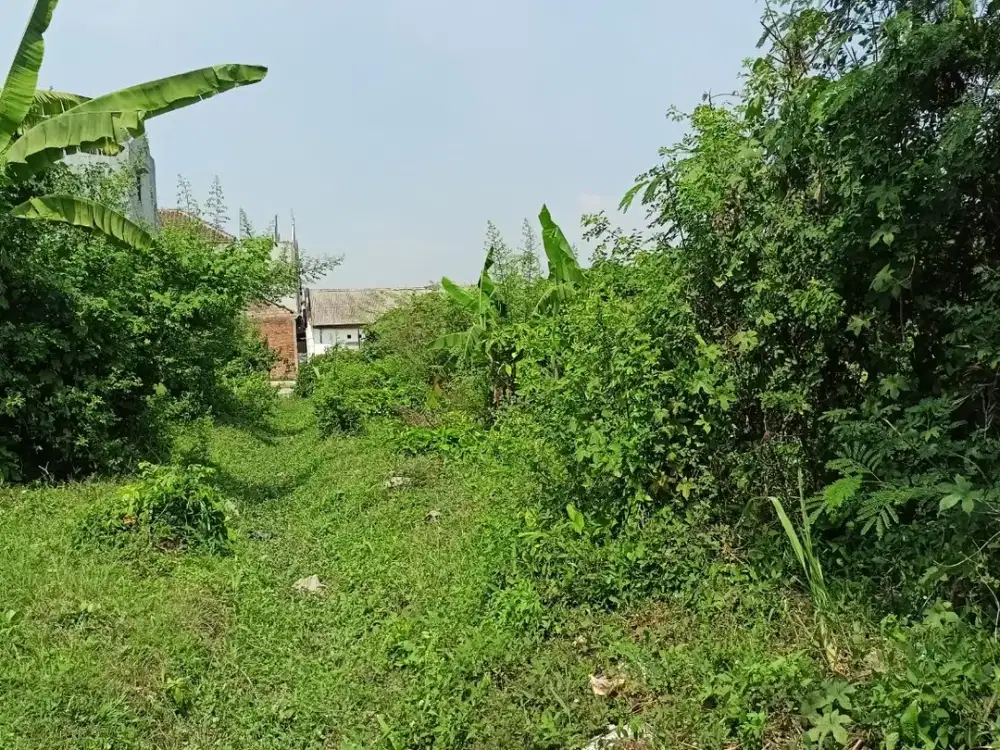 Tanah Kavling Strategis Luas 100 m2 di Cimanggu