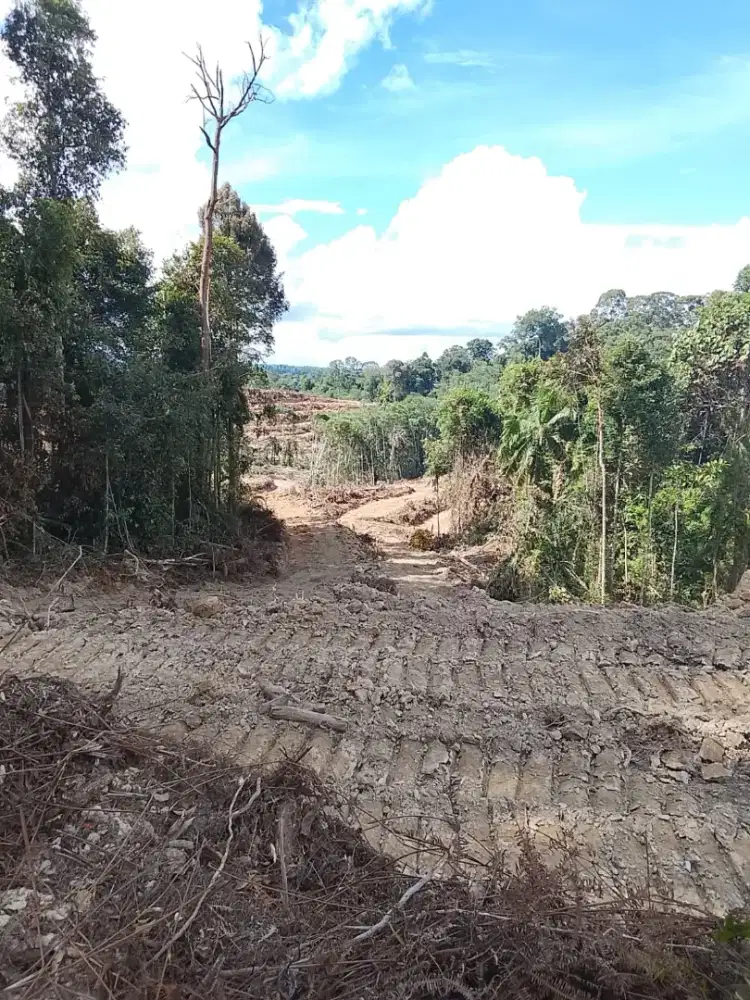 Jual lahan milik pribadi