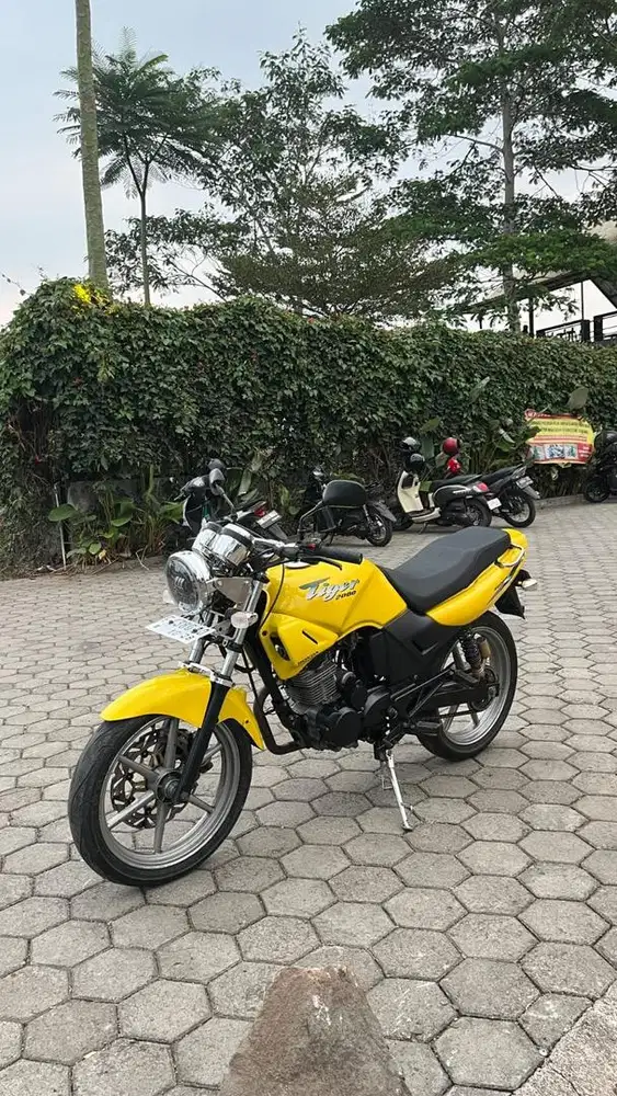 Honda tiger old 2001