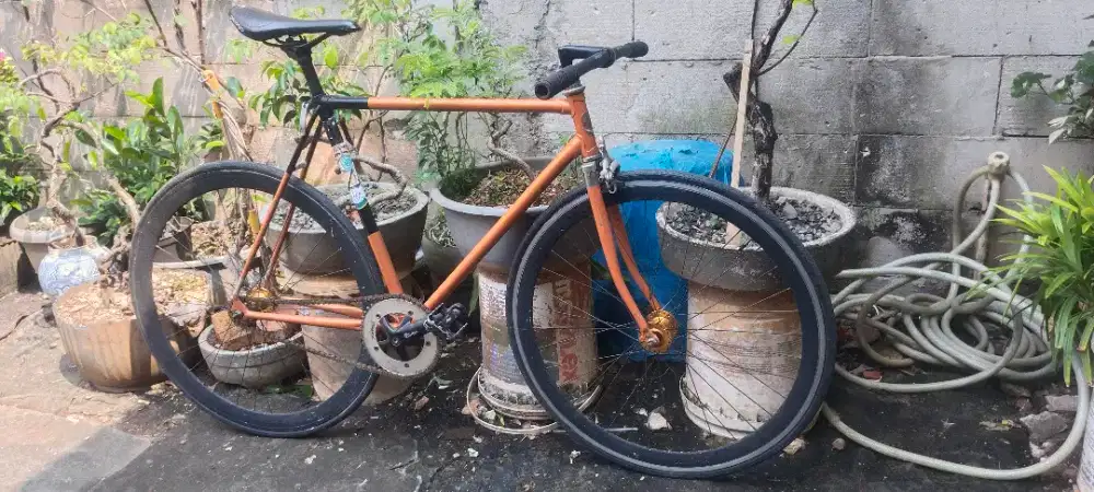 Sepeda fixie full bike