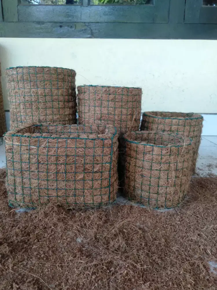 Pot bunga anggrek