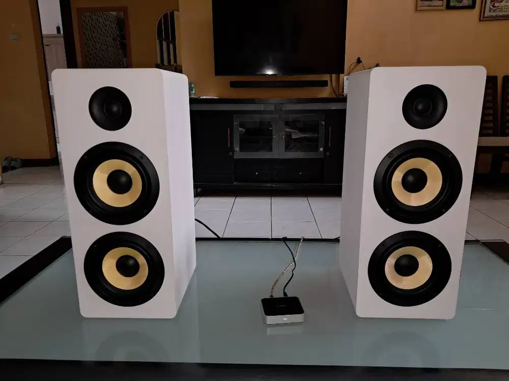SPEAKER THONET VANDER HOCH