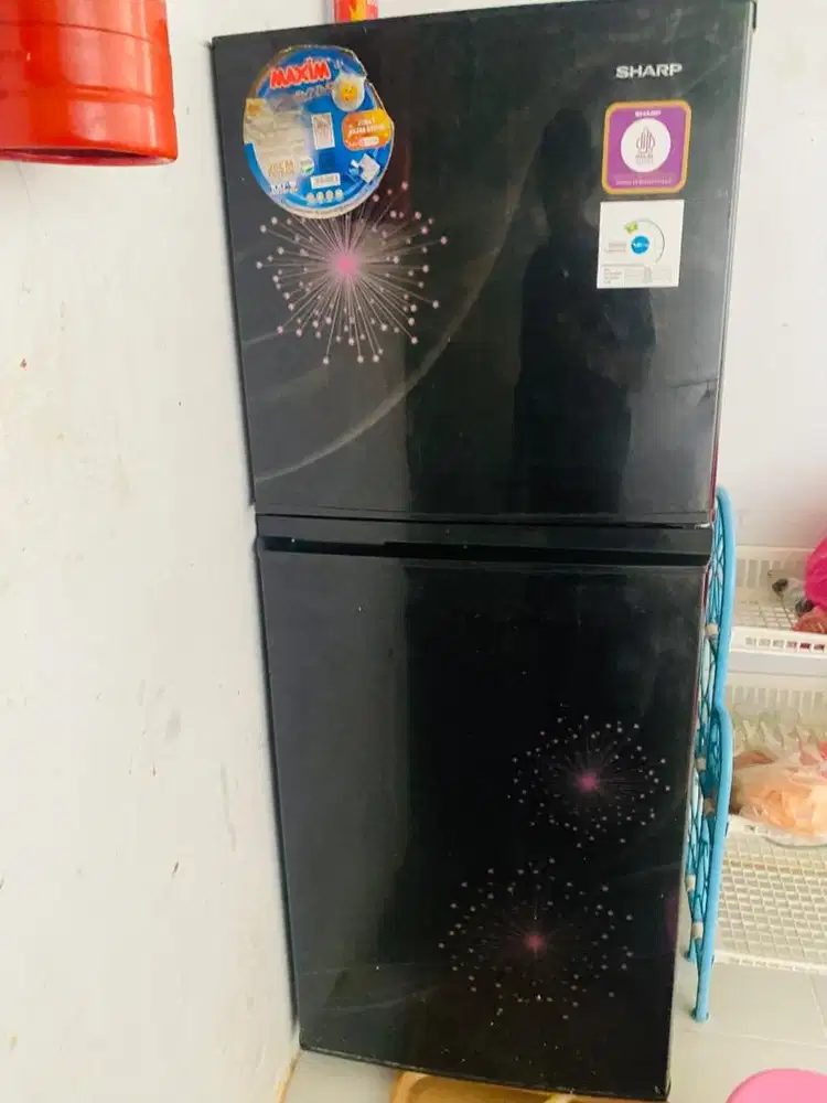 Kulkas sharp 2 pintu
