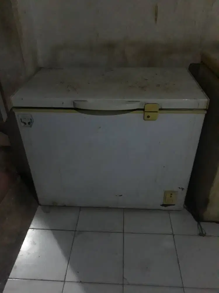 Freezer polytron 300 liter