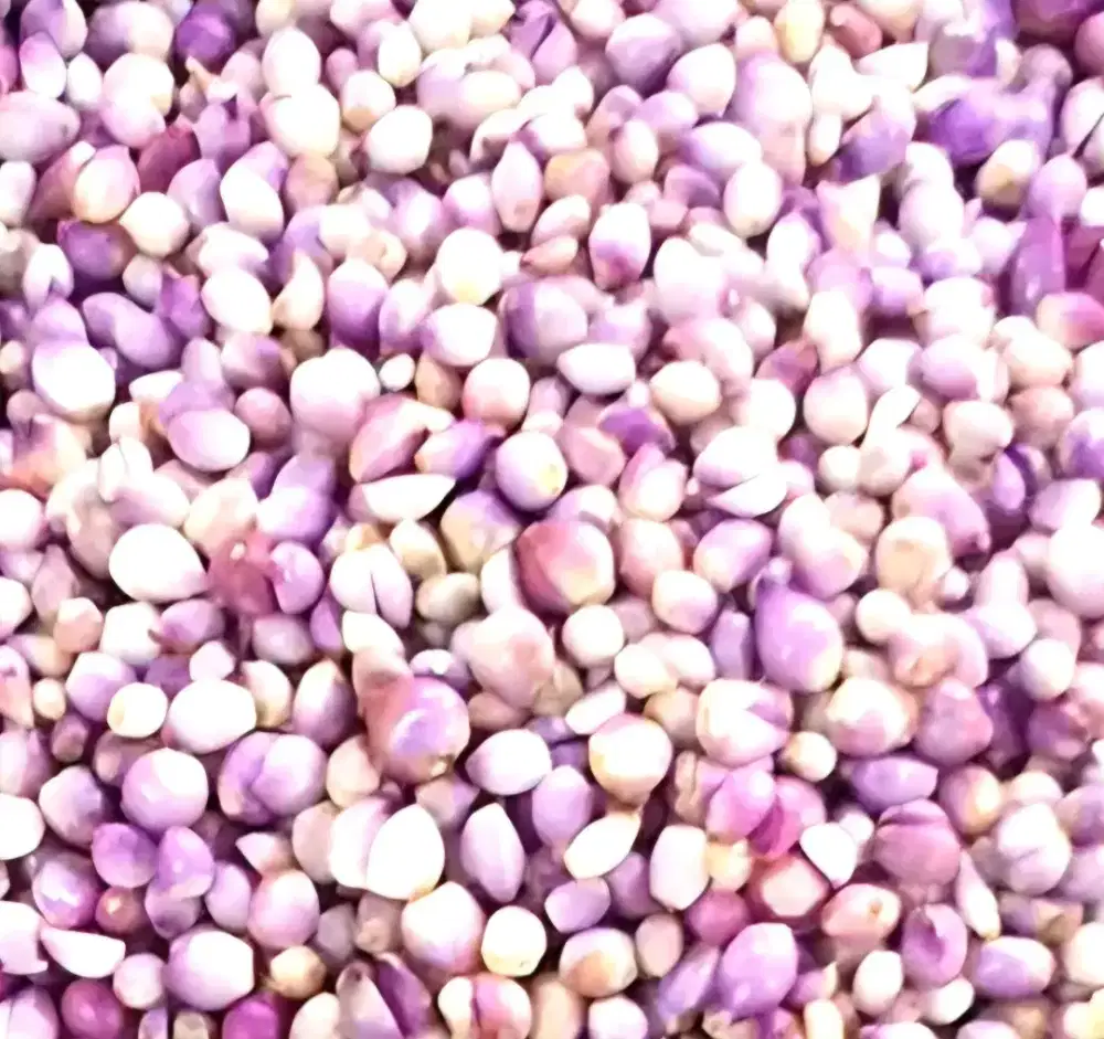 Jual bawang merah kupas