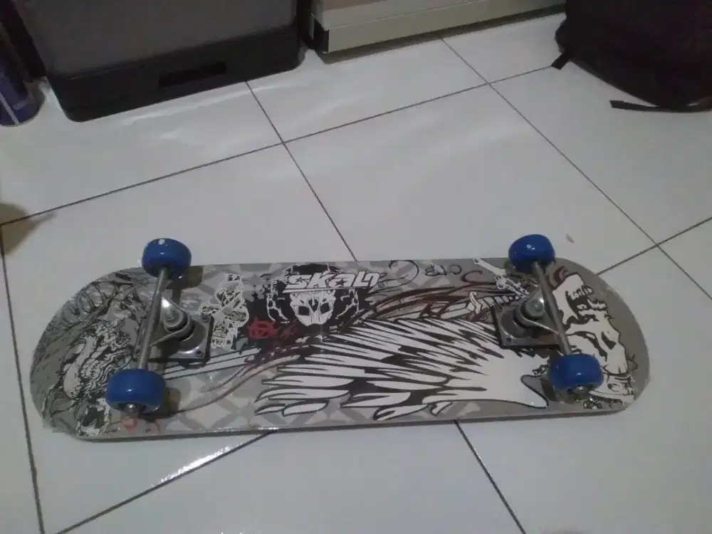 skateboard Baru