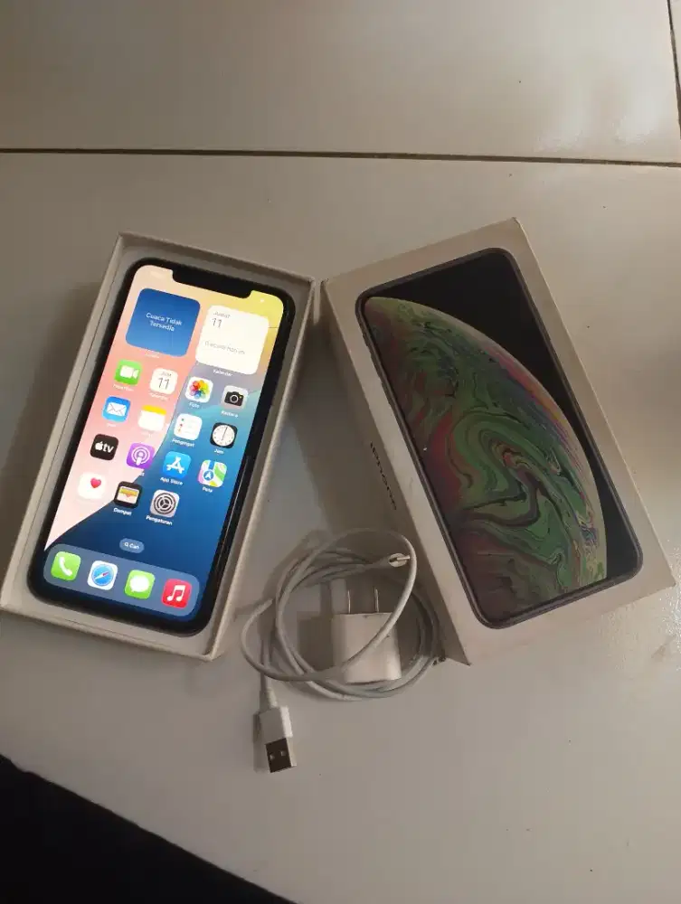 Iphone xs max 256 GB inter terdaftar