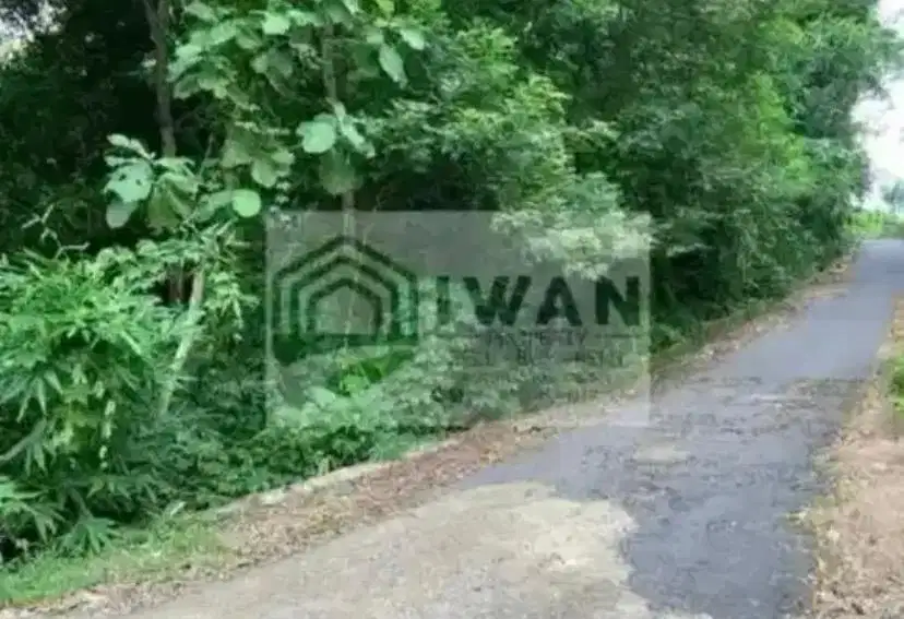 Tanah Pekarangan Luas & Murah Hadap Jalan Lebar