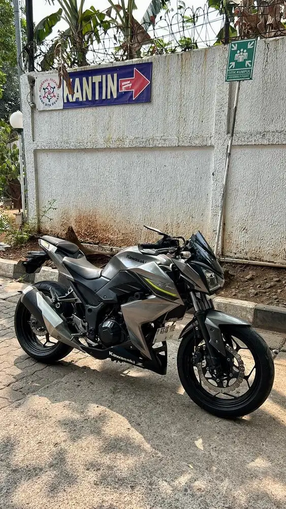 Kawasaki z250/er250 2017 Std