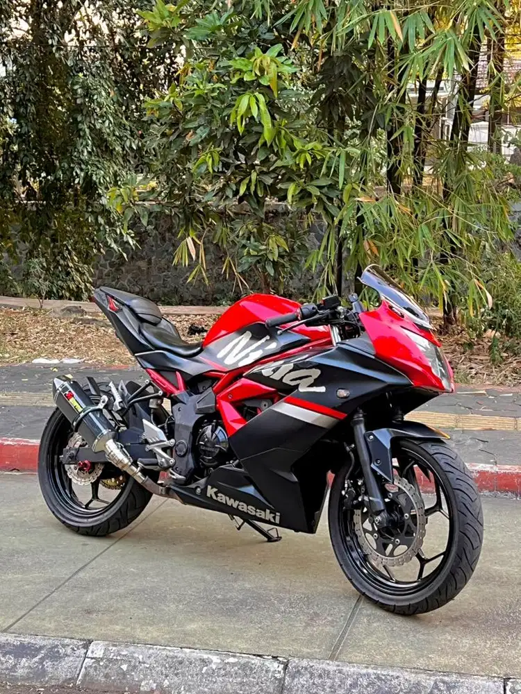 Kawasaki ninja 250 sl 2019