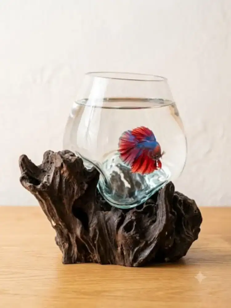 Aquarium kayu uk M