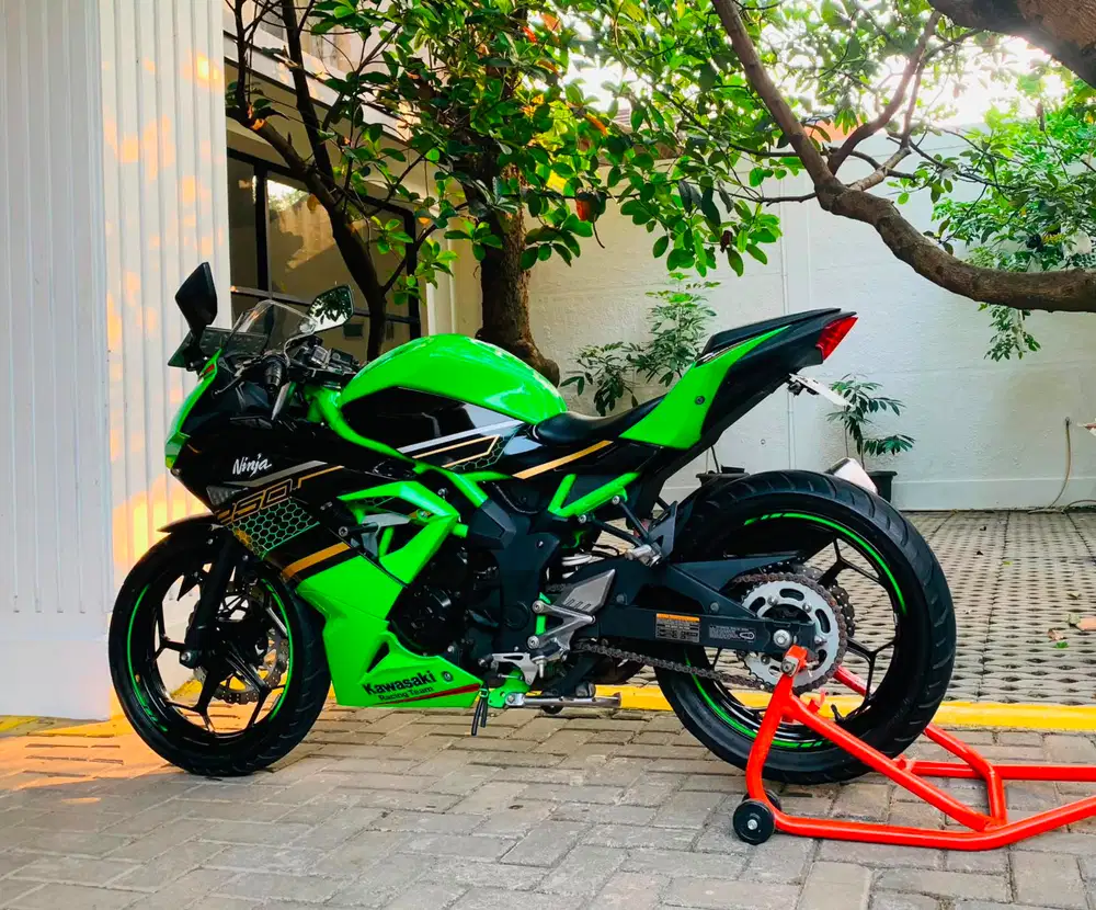 Kawasaki ninja 250 sl mono
