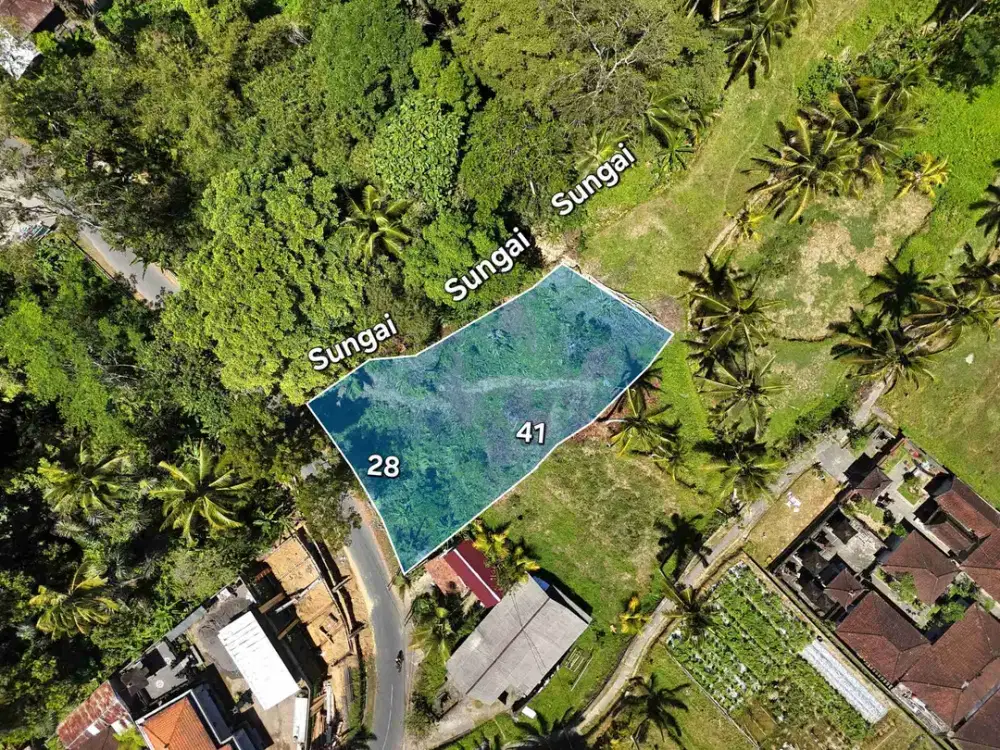 Tanah Tegallalang Ubud Gianyar Bali