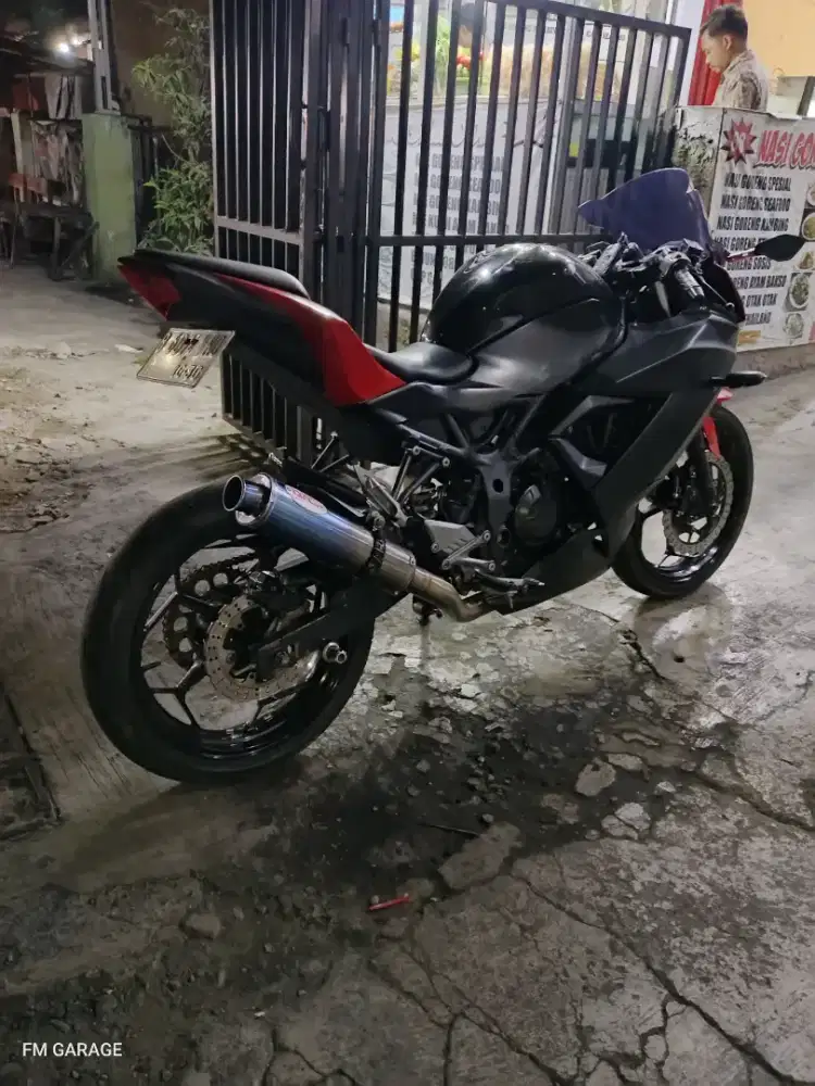 Ninja 250 mono sl