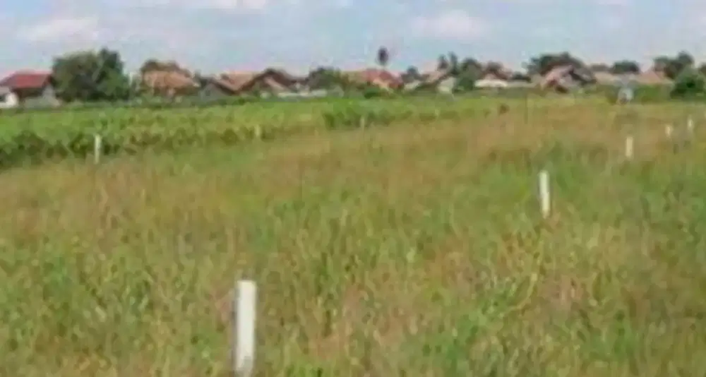 Di jual tanah kavling daerah glindah gresik