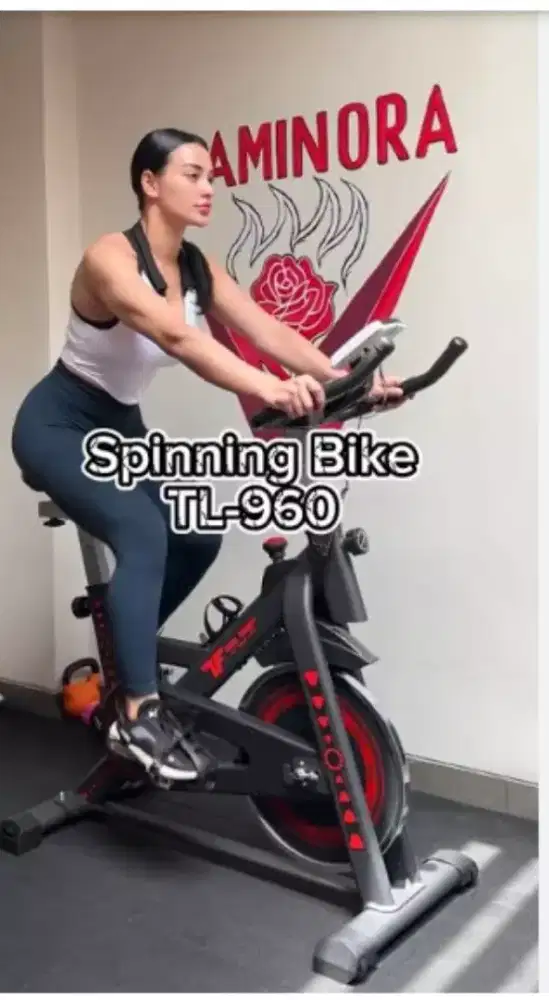 Sepeda statis Tf/ spin bike