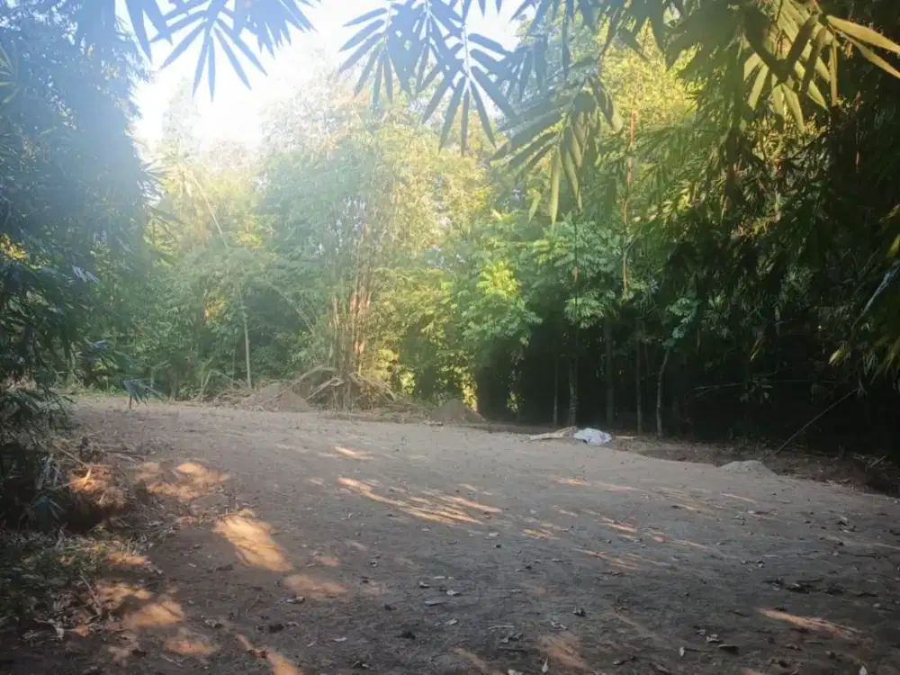 TANAH 1.505 m² CUMA Rp510 JUTA! SHM, SIAP KAVLING DEKAT RS UII BANTUL