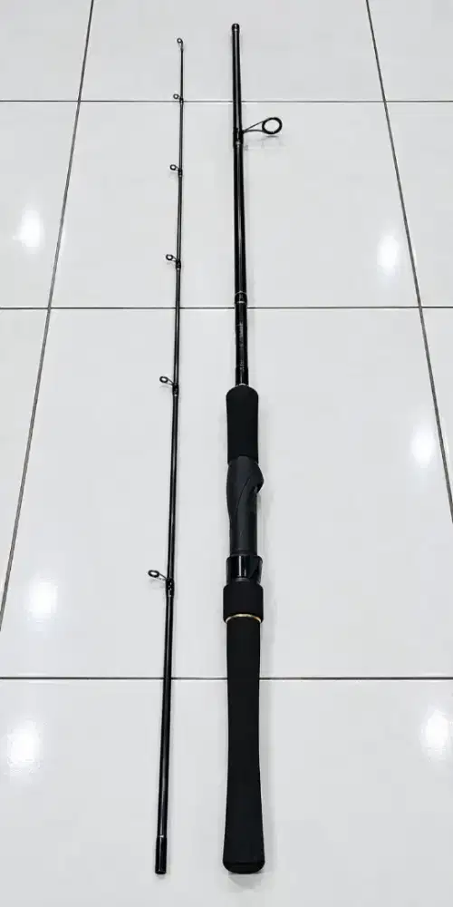 Joran DAIWA KOI X