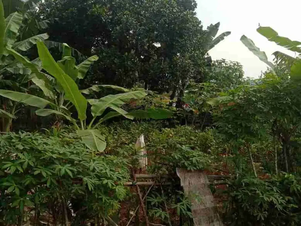 Lokasi di jual Buat rumah tinggal/ Villa di sentul city bogor