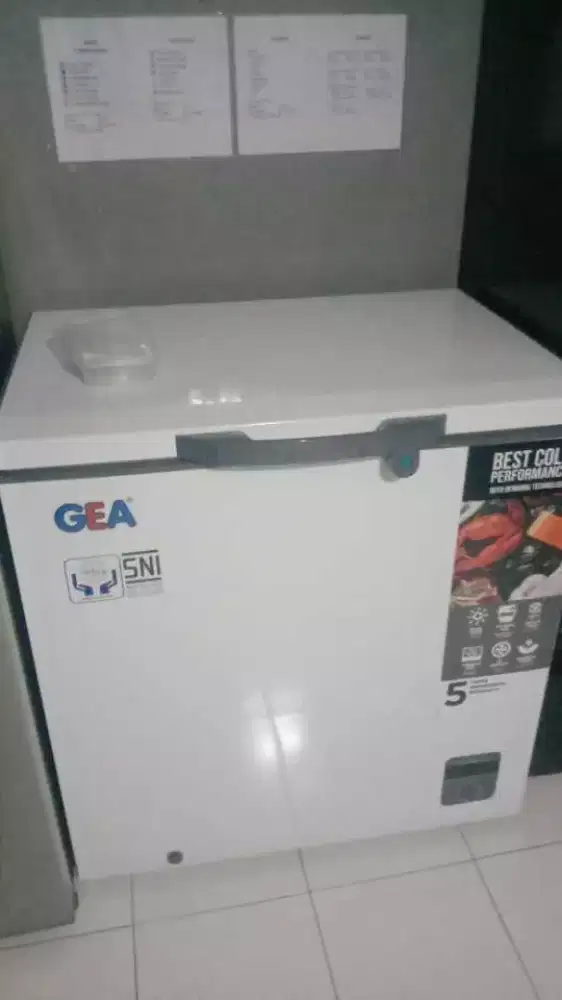 chest Freezer GEA 210L
