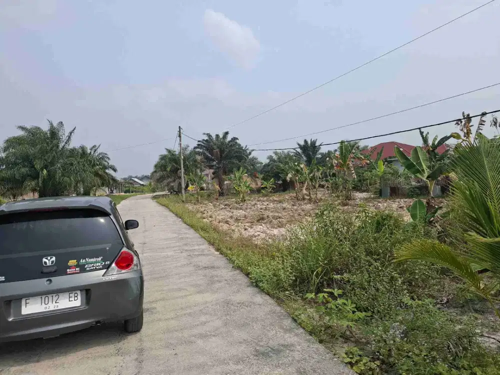 Tanah siap bangun 980m2 persegi jalan Semenisasi di kulim Pekanbaru