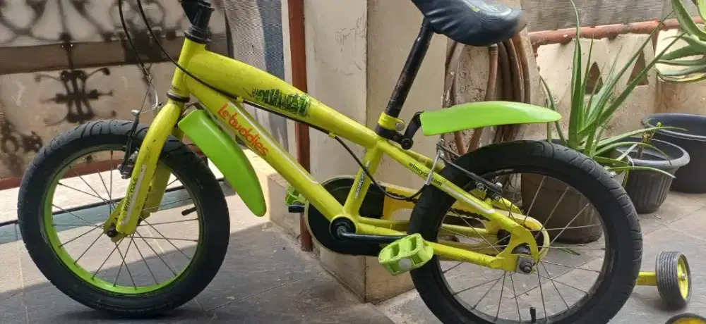 Wimcycle Anak Hijau