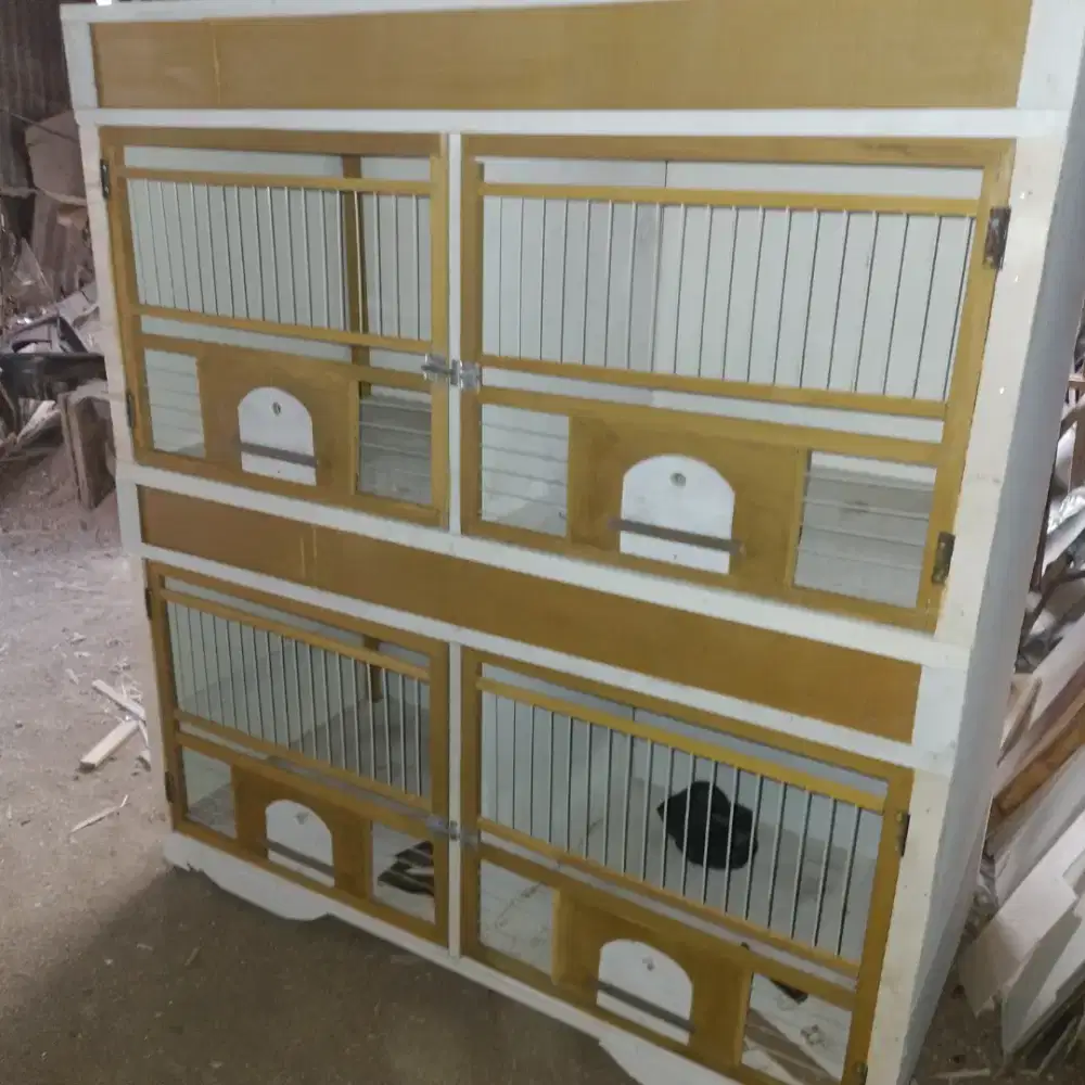 Kandang merpati 4 pintu 60x60 lokasi kelnder jkt timur