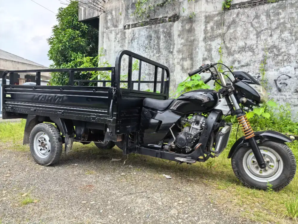Viar 200 long mulus