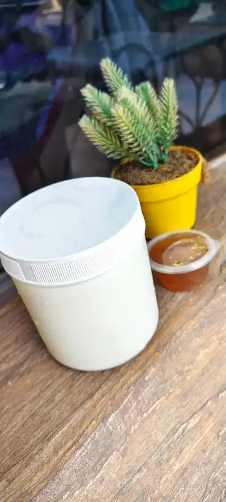 Po, Premium Organik Homemade Plain Yogurt